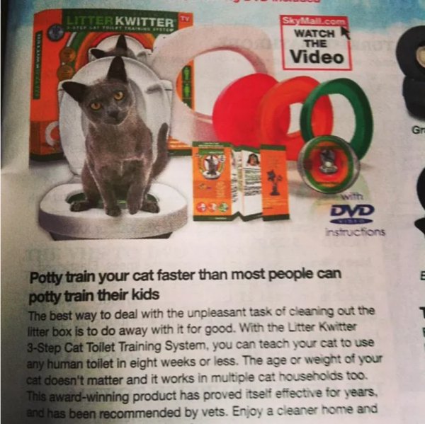 pet - Litter Kwitter Skyfall.com Watch The Video Gr Dvd instructions ma Potty train your cat faster than most people can potty train their kids The best way to deal with the unpleasant task of cleaning out the litter box is to do away with it for good. Wi