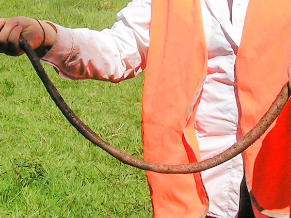 A 20 inch long earthworm.
A Chinese worker by the name of Li Zhiwei was hanging clothes out to dry, when he saw this monster by his fence. Initially thinking it was a snake, he got closer, only to see that it was an earthworm. To date, no one knows how it got to be so big, and what the heck it’s been eating; squirrels and rats,
maybe?