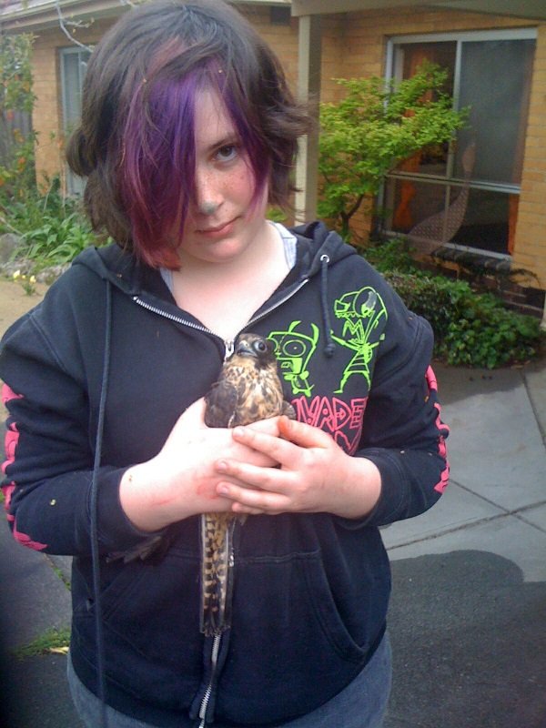 “I caught a uninjured, healthy falcon with my bare hands when I was 14/15. It was trying to attack my chickens and I managed to nab him, then had to dash through the house to find my mum to take pictures so I had proof. I named him fitzgerald.”