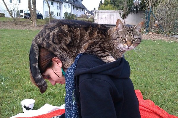 “My sister’s cat doesn’t give a f*ck where he sits and this one time he sat on my head .”