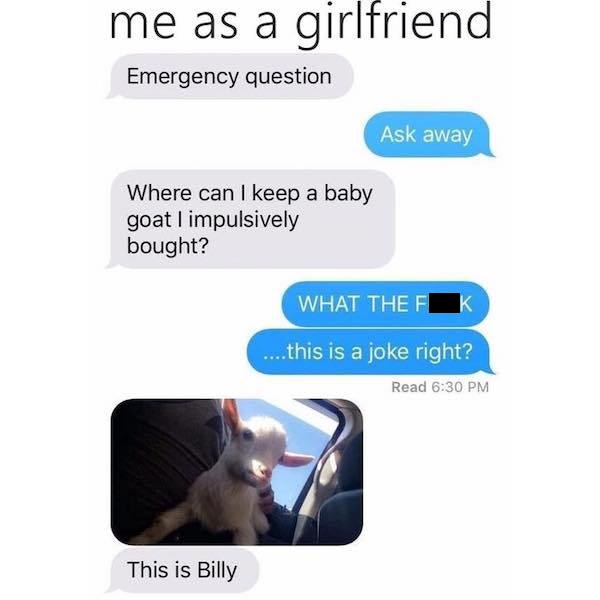 goat text message - me as a girlfriend Emergency question Ask away Where can I keep a baby goat I impulsively bought? What The F ....this is a joke right? Read This is Billy
