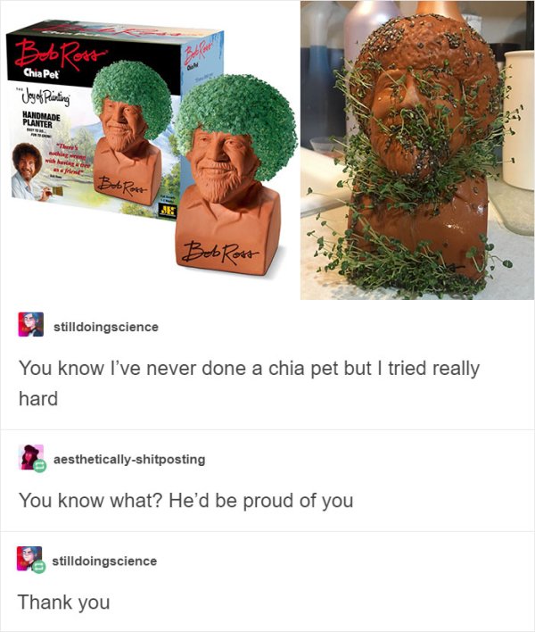 meme - bob ross chia pet meme - Bob Ross hat "Joy of Printing Handmade Planter with him Bobrost Jes Bob Ross stilldoingscience You know I've never done a chia pet but I tried really hard aestheticallyshitposting You know what? He'd be proud of you still d