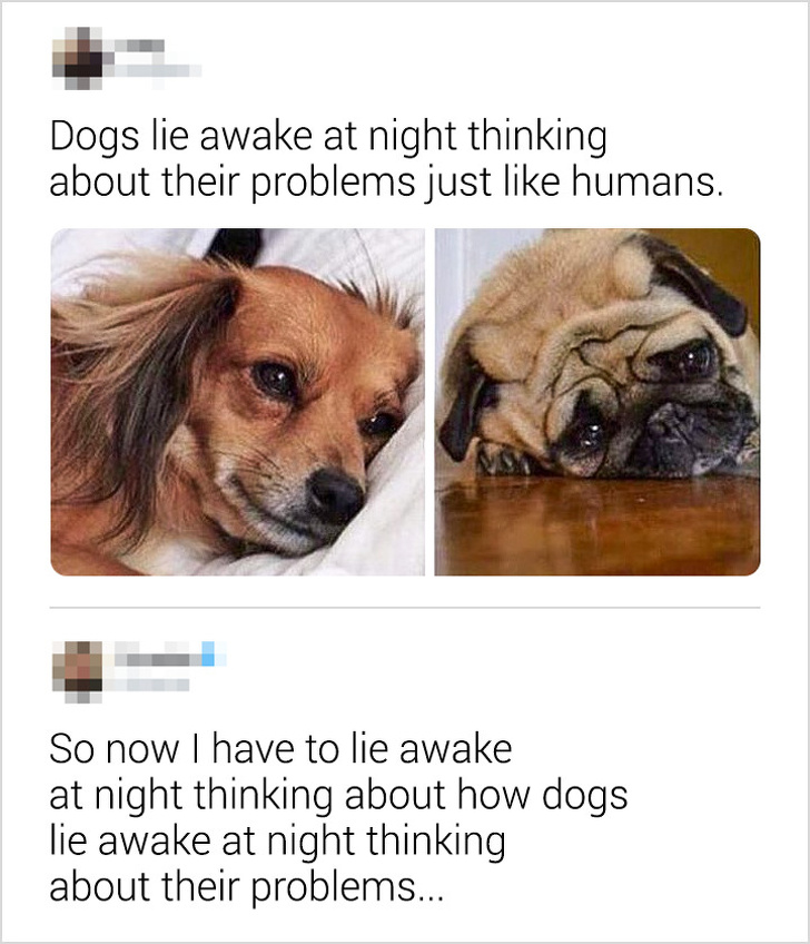 dogs lie awake at night meme - Dogs lie awake at night thinking about their problems just humans. So now I have to lie awake at night thinking about how dogs lie awake at night thinking about their problems...