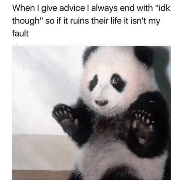 baby panda - When I give advice I always end with "idk though" so if it ruins their life it isn't my fault