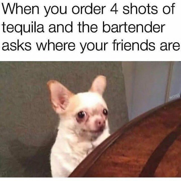 you order 4 shots of tequila - When you order 4 shots of tequila and the bartender asks where your friends are worst