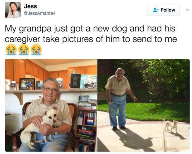 18 Pics and Memes That Will Warm That Cold Heart of Yours