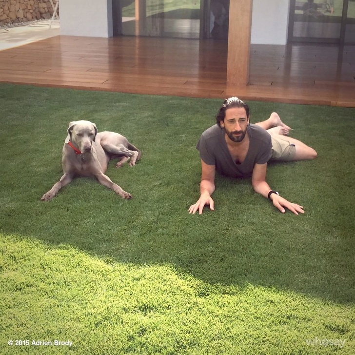 Adrien Brody’s dog is trying to mimic him.