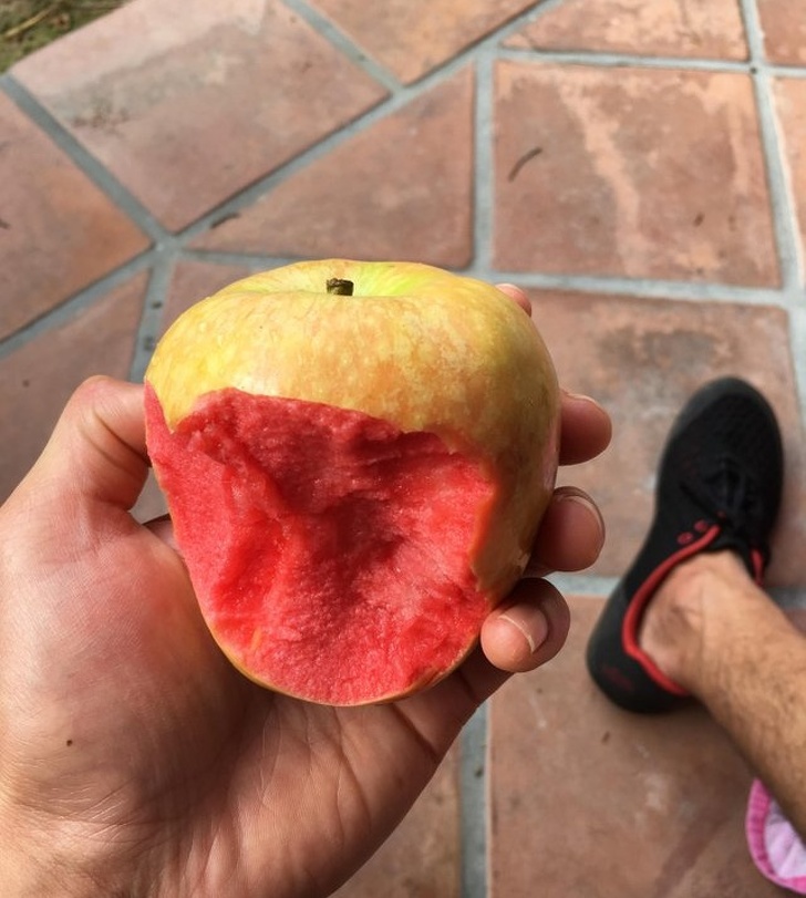 red apple inside