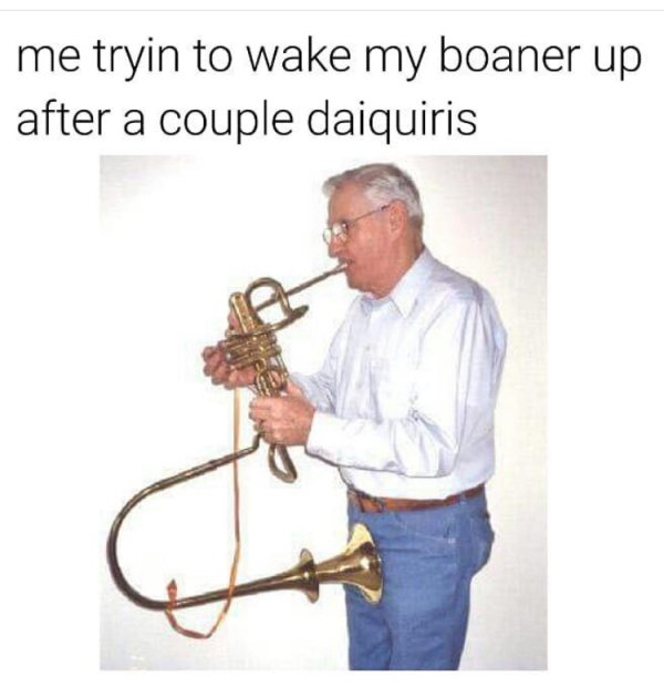 memes - funniest instruments - me tryin to wake my boaner up after a couple daiquiris