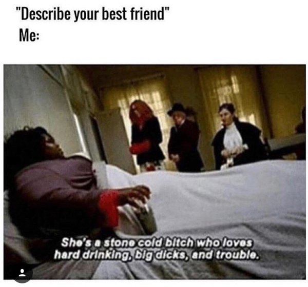memes - describe your best friend meme - "Describe your best friend" Me She's a stone cold bitch who lovos hard drinking big dicks, and trouble.