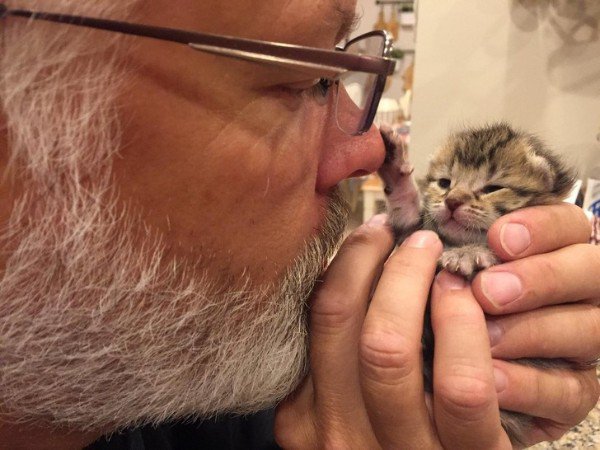 “My dad won’t admit it, but I think he likes the kittens my sister is raising.”