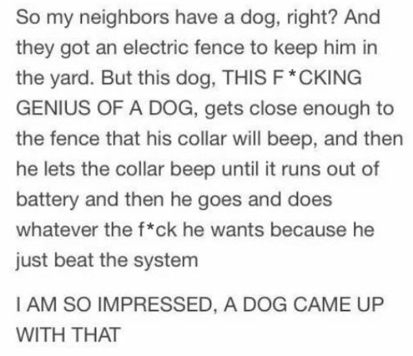 handwriting - So my neighbors have a dog, right? And they got an electric fence to keep him in the yard. But this dog, This FCking Genius Of A Dog, gets close enough to the fence that his collar will beep, and then he lets the collar beep until it runs ou