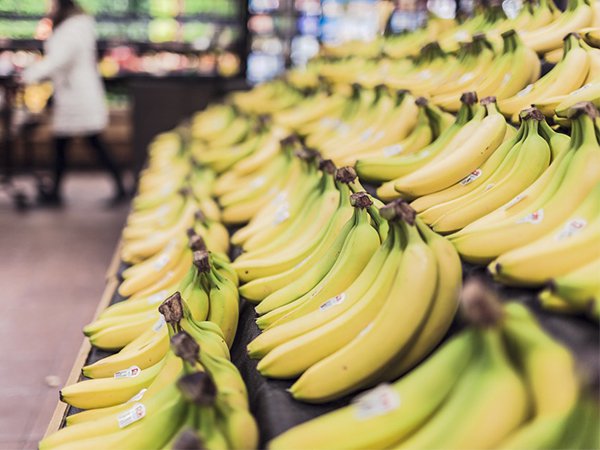 Every banana you eat is a clone. Nearly all the world’s banana exports come from a single, cultivated variety called the Cavendish. Cavendish bananas are seedless and therefore sterile meaning that farmers must clone the plant.
