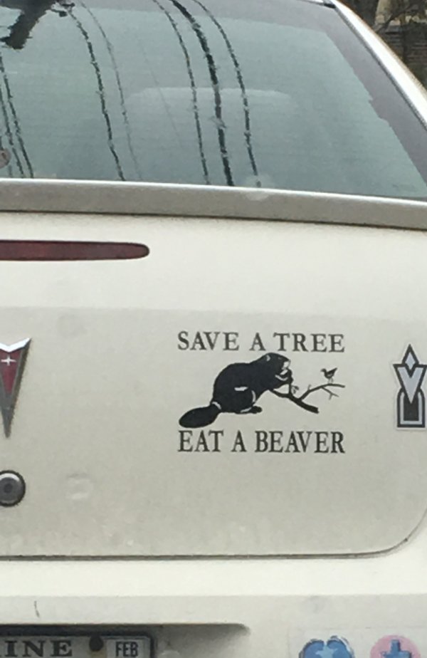 vehicle door - Save A Tree Eat A Beaver Ine Feb