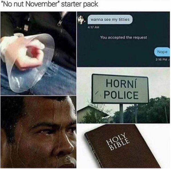 no nut november memes - "No nut November' starter pack wanna see my titties You accepted the request Nope Horn Police Holy Bible
