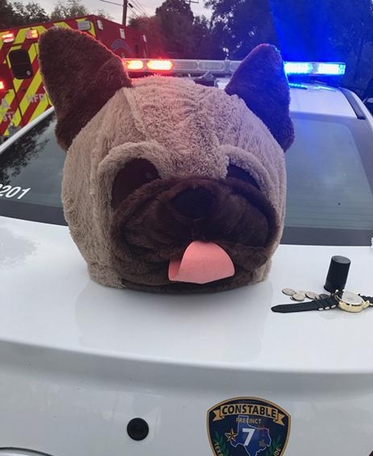 police car dog costume