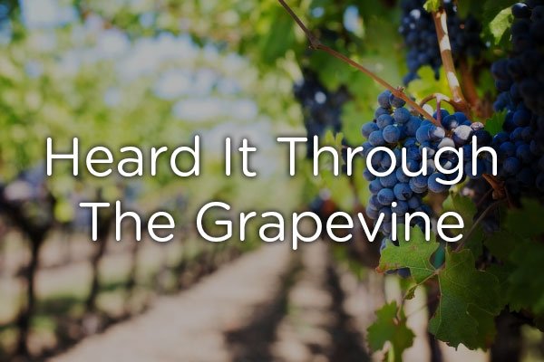 beautiful vineyard - Heard It Through The Grapevine