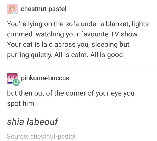 document - chestnutpastel You're lying on the sofa under a blanket, lights dimmed, watching your favourite Tv show. Your cat is laid across you, sleeping but purring quietly. All is calm. All is good. w pinkumabuccus but then out of the corner of your eye