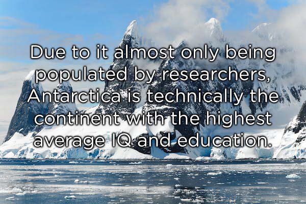 wave - Due to it almost only being populated by researchers, Antarctica is technically the i continent with the highest average Iq and education.