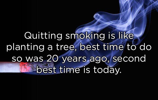 stupid shower thoughts - Quitting smoking is planting a tree, best time to do so was 20 years ago, second de best time is today.