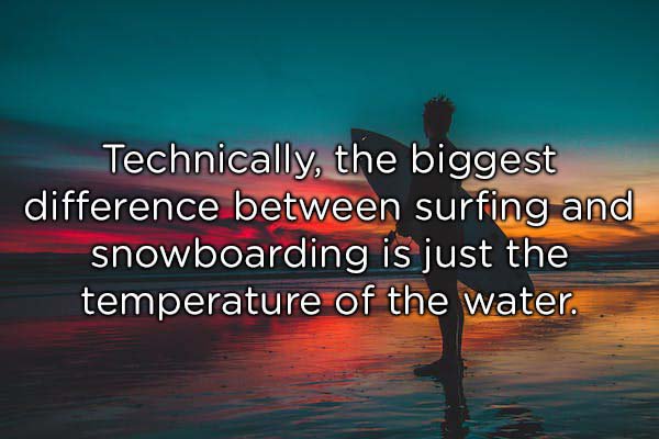 calm - Technically, the biggest difference between surfing and snowboarding is just the temperature of the water.