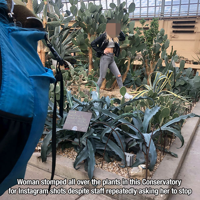 trash Woman stomped all over the plants in this Conservatory for Instagram shots despite staff repeatedly asking her to stop