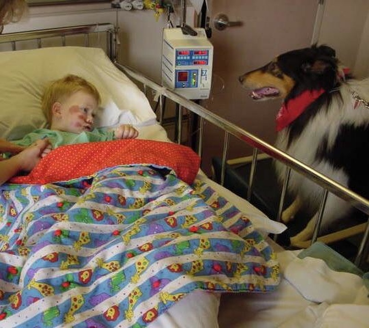 “The dog is doing his best to cheer me up after I got run over as a child.”