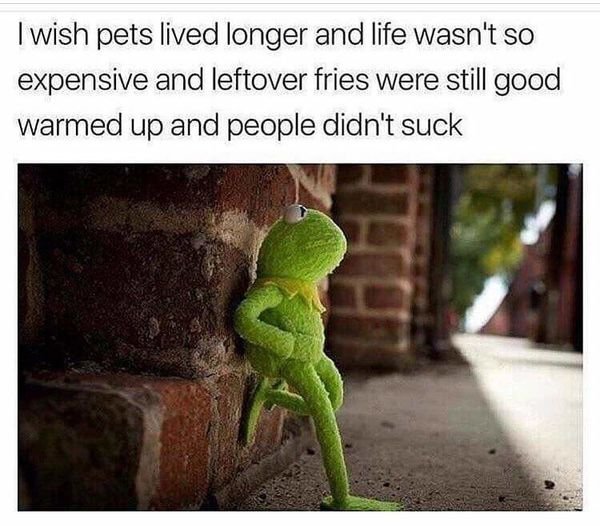 wish pets lived longer - I wish pets lived longer and life wasn't so expensive and leftover fries were still good warmed up and people didn't suck