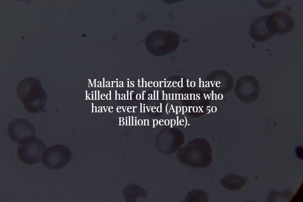 creepy fact atmosphere - Malaria is theorized to have killed half of all humans who have ever lived Approx 50 Billion people.