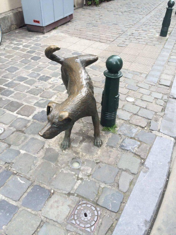 There is a statue of a dog peeing in Brussels.
