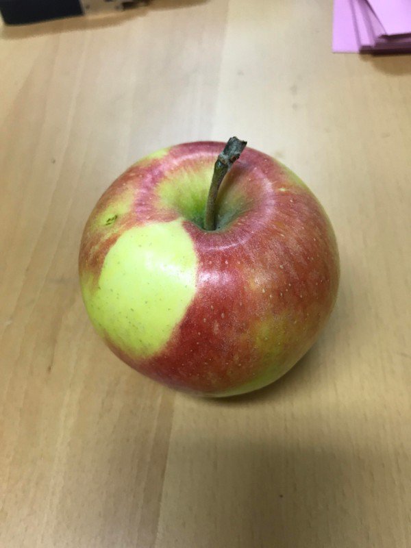 “You can see where a leaf cast a shadow on this apple.”