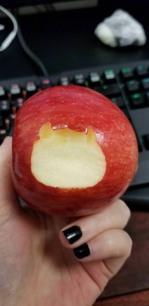 “What my crooked teeth do to an apple.”