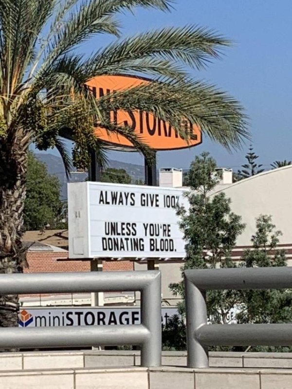 palm tree - Always Give 100% Unless You'Re Donating Blood. miniSTORAGE