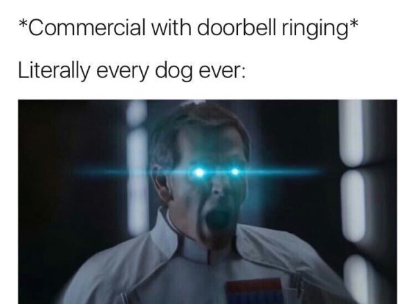 we stand here amidst my achievement not yours - Commercial with doorbell ringing Literally every dog ever