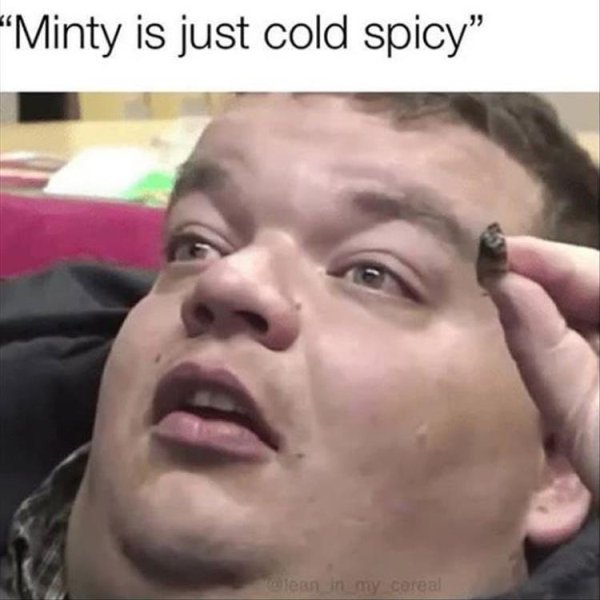 blunts meme - 'Minty is just cold spicy" lean in my cereal