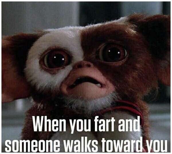 meme of its that time again - When you fart and someone walks toward you