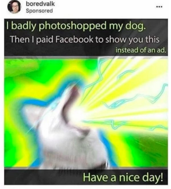 facebook dog ad meme - boredvalk Sponsored I badly photoshopped my dog. Then I paid Facebook to show you this instead of an ad. Have a nice day!