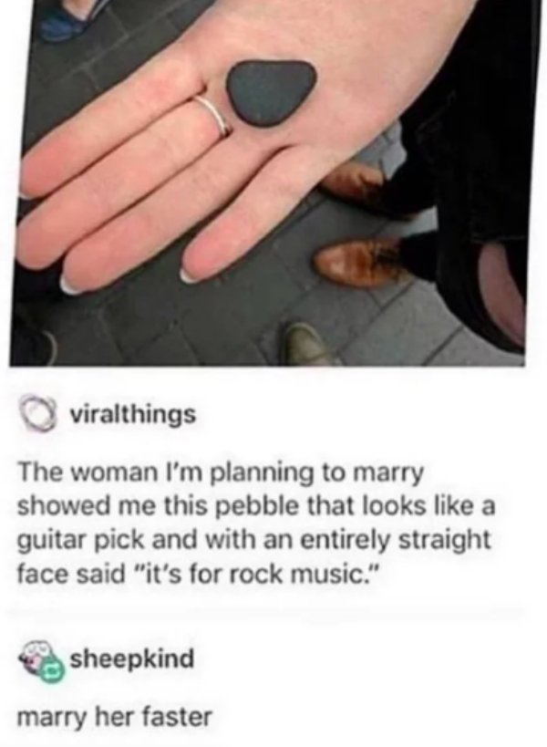 marry her faster - viralthings The woman I'm planning to marry showed me this pebble that looks a guitar pick and with an entirely straight face said "it's for rock music." sheepkind marry her faster