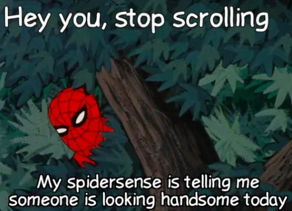hey you stop scrolling - Hey you, stop scrolling My spidersense is telling me Someone is looking handsome today