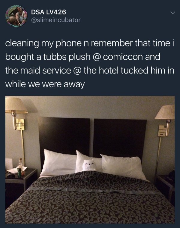 hotel meme - Dsa LV426 cleaning my phone n remember that time i bought a tubbs plush and the maid service @ the hotel tucked him in while we were away