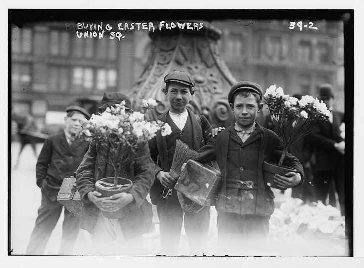 Boys buying flowers in New York, 1908