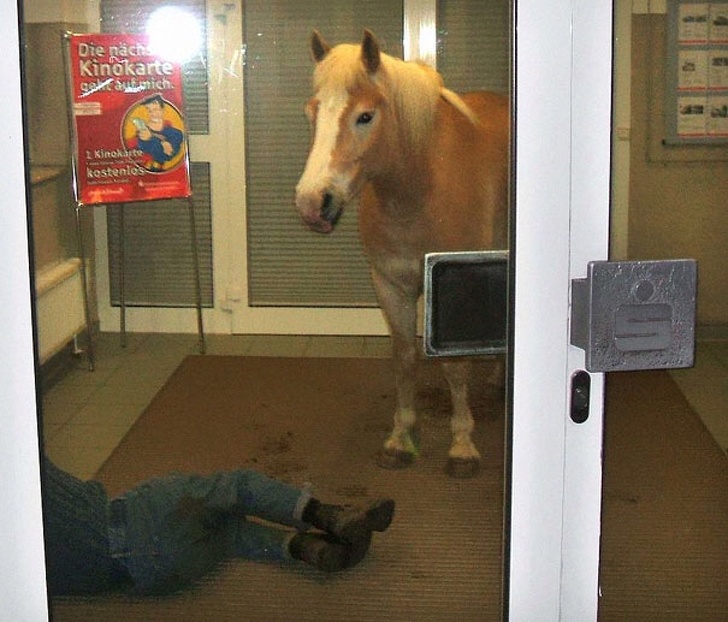 Meanwhile inside a bank in Germany...
