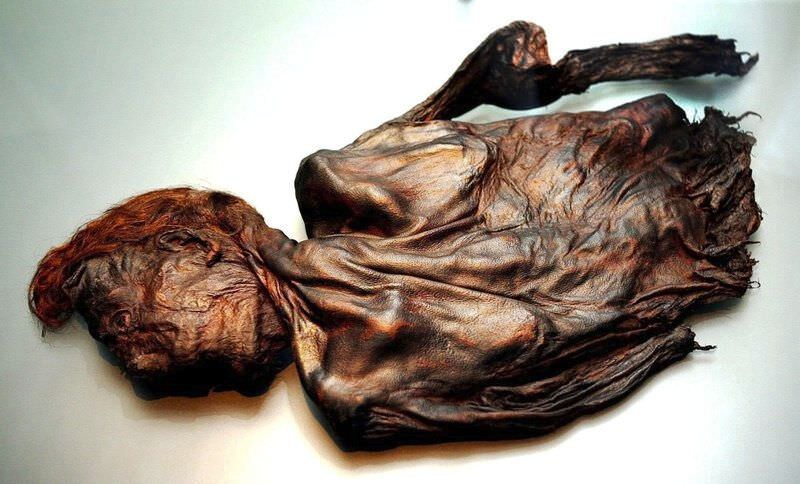 The Bog Bodies. The bog bodies, or bog people, are the naturally preserved human corpses that were found in the sphagnum bogs in Northern Europe. Rather than decomposing, the bog provided the perfect conditions to preserve the bodies, leaving the skin and internal organs relatively intact. The thousands of bodies found can be dated back to the Iron Age and many reveal signs of being murdered. It is widely believed that the bodies are sacrificial victims of pagan rituals or a form of criminal punishment.
