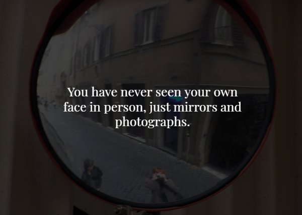 light - You have never seen your own face in person, just mirrors and photographs.