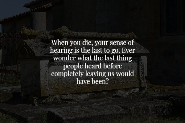 wall - When you die, your sense of hearing is the last to go. Ever wonder what the last thing people heard before completely leaving us would have been?