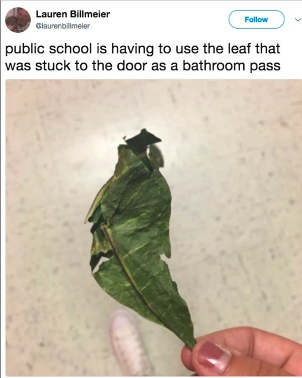 meme hall passes - Lauren Billmeier public school is having to use the leaf that was stuck to the door as a bathroom pass