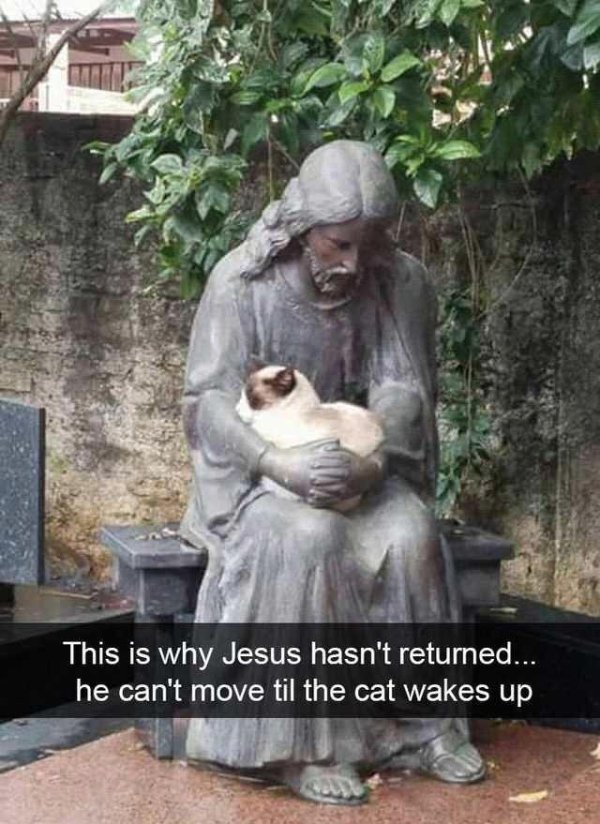 cat in jesus lap - This is why Jesus hasn't returned.. he can't move til the cat wakes up