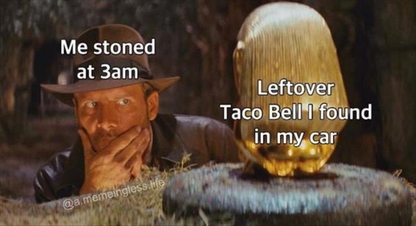 indiana jones and the raiders - Me stoned at 3am Leftover Taco Bell I found in my car .memeingless.life