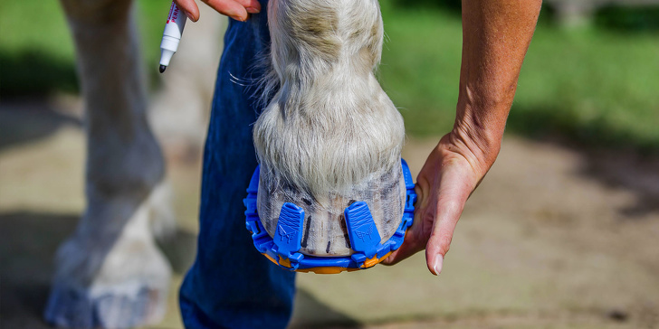 Special “shoes” for horses that replace steel horseshoes and cushions, protecting the joints of the animal. And on top of that, it can be quickly removed.