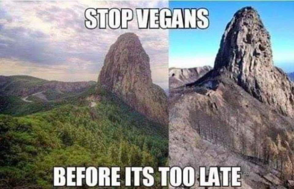 random pic stop vegans before it's too late - Stop Vegans Before Its Too Late